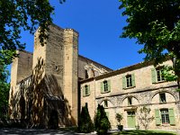 2017-04 DSC1546 Abbaye-de-Valmagne-Ok  www.nathalie-photos.com